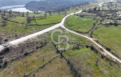Bergama Maruflar'da Satılık Tarla