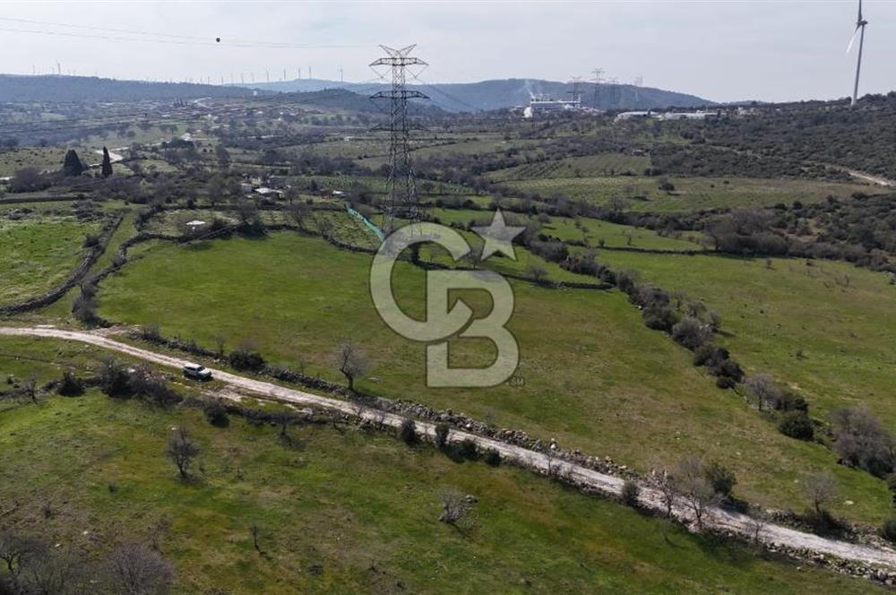 Bergama Maruflar'da Satılık Tarla
