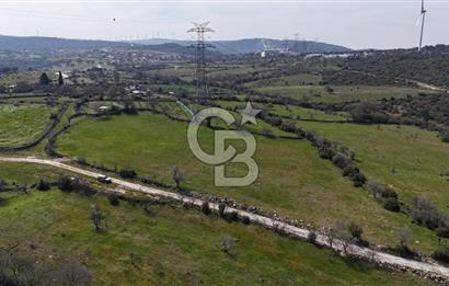 Bergama Maruflar'da Satılık Tarla