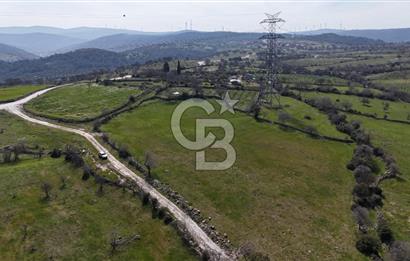 Bergama Maruflar'da Satılık Tarla