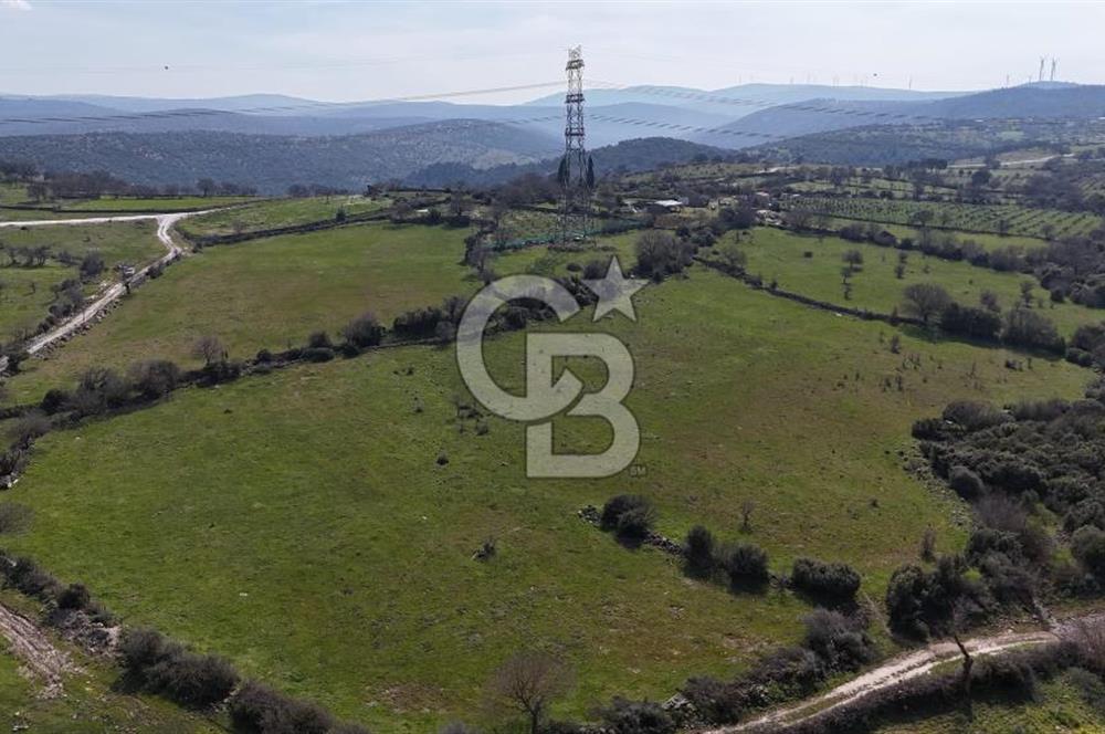 Bergama Maruflar'da Satılık Tarla