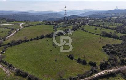 Bergama Maruflar'da Satılık Tarla