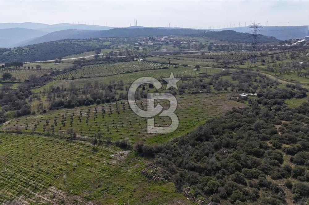 Bergama Maruflar'da Satılık Tarla