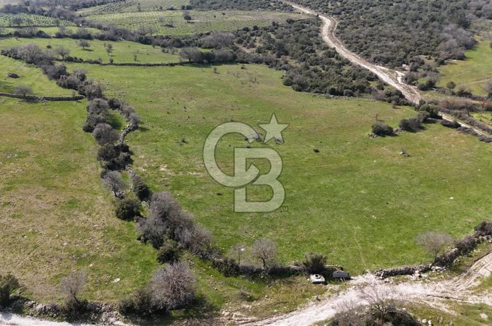 Bergama Maruflar'da Satılık Tarla