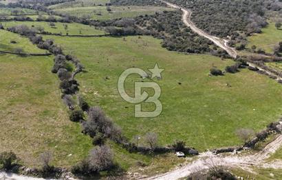 Bergama Maruflar'da Satılık Tarla