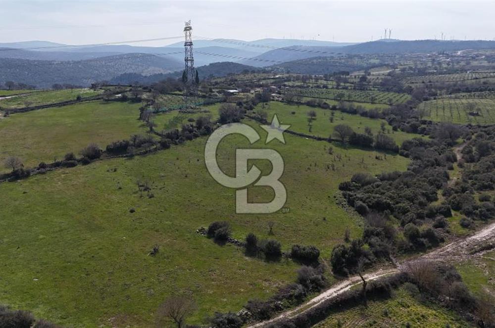 Bergama Maruflar'da Satılık Tarla