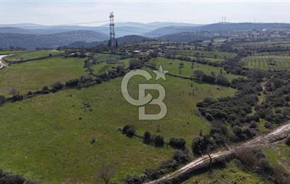 Bergama Maruflar'da Satılık Tarla