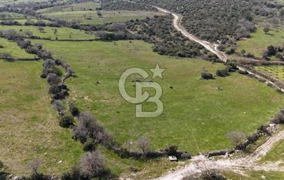 Bergama Maruflar'da Satılık Tarla