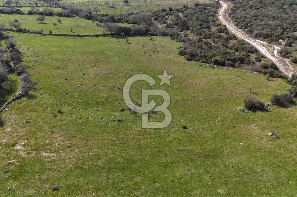 Bergama Maruflar'da Satılık Tarla