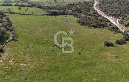 Bergama Maruflar'da Satılık Tarla
