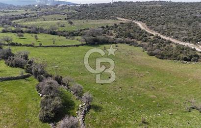 Bergama Maruflar'da Satılık Tarla