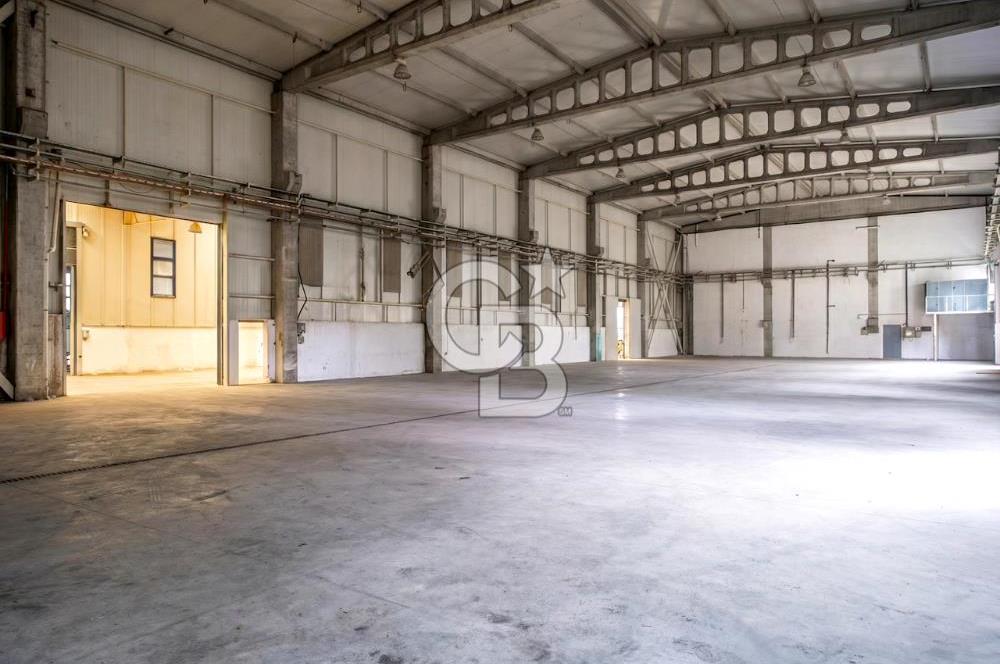 Tuzla Birlik OSB de 3850,00 m² Kiralık Fabrika, Üretim tesisi