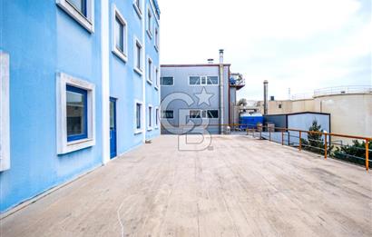 Tuzla Birlik OSB de 3850,00 m² Kiralık Fabrika, Üretim tesisi