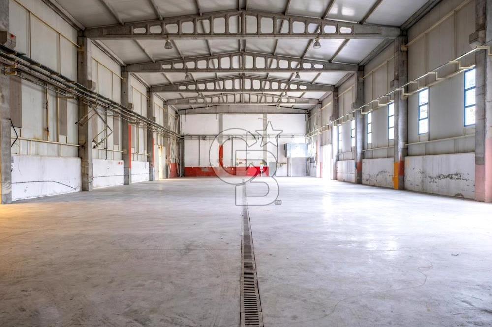 Tuzla Birlik OSB de 3850,00 m² Kiralık Fabrika, Üretim tesisi