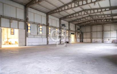 Tuzla Birlik OSB de 3850,00 m² Kiralık Fabrika, Üretim tesisi
