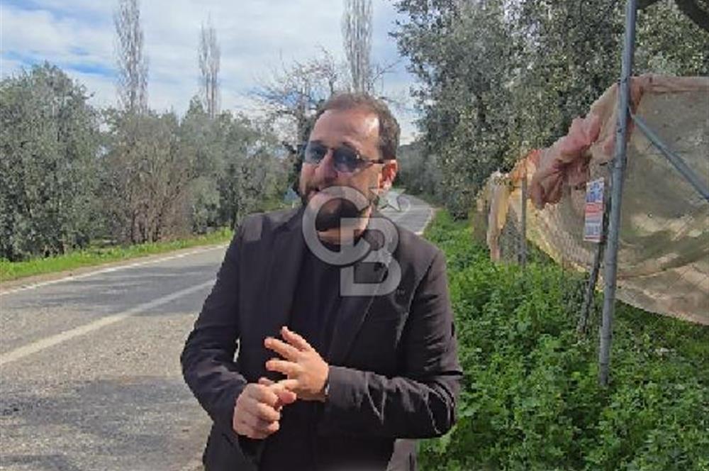 İZNİK GÖLÜNE 35 m | ASFALTA CEPHE | 70 GEMLİK ZEYTİNLİK | HOBİ BAHÇESİ & KARAVAN İÇİN İDEAL