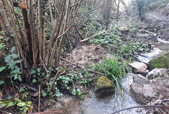 Karamursel tepekoy gokcedere satilik zeytinlik - 2 - 338844