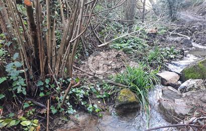 Karamursel tepekoy gokcedere satilik zeytinlik