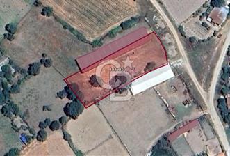 Biga Pekmezli'de Geleceği Parlak, Yatırımlık Müstakil Parsel - 1 - 338832