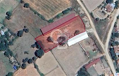 Biga Pekmezli'de Geleceği Parlak, Yatırımlık Müstakil Parsel