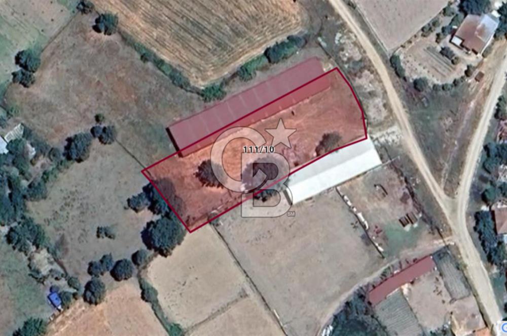 Biga Pekmezli'de Geleceği Parlak, Yatırımlık Müstakil Parsel