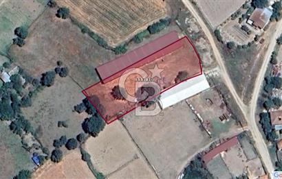 Biga Pekmezli'de Geleceği Parlak, Yatırımlık Müstakil Parsel