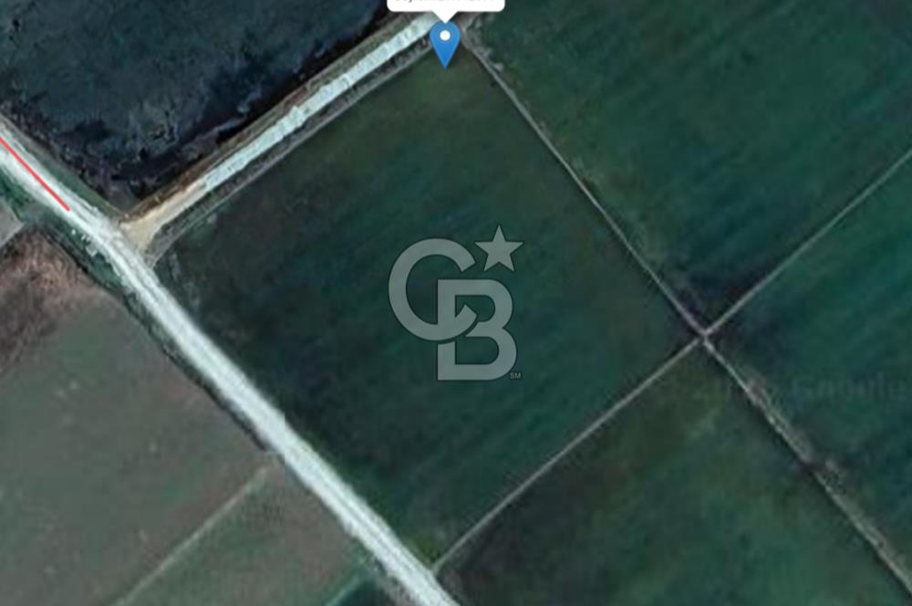 Biga Pekmezli'de Geleceği Parlak, Yatırımlık Müstakil Parsel