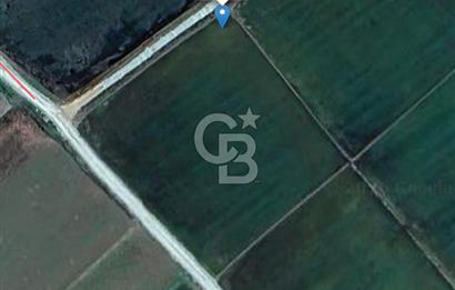 Biga Pekmezli'de Geleceği Parlak, Yatırımlık Müstakil Parsel