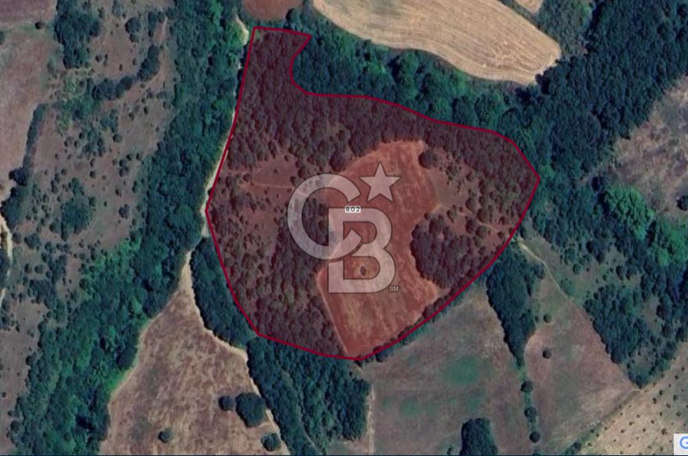 Çeltik Köyü'nde Satılık 802 Parsel - Bereketli Toprak, Kolay Ulaşım