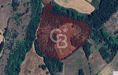 Çeltik Köyü'nde Satılık 802 Parsel - Bereketli Toprak, Kolay Ulaşım