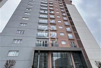 AVRUPARKHAYAT SATILIK - 8 - 338856