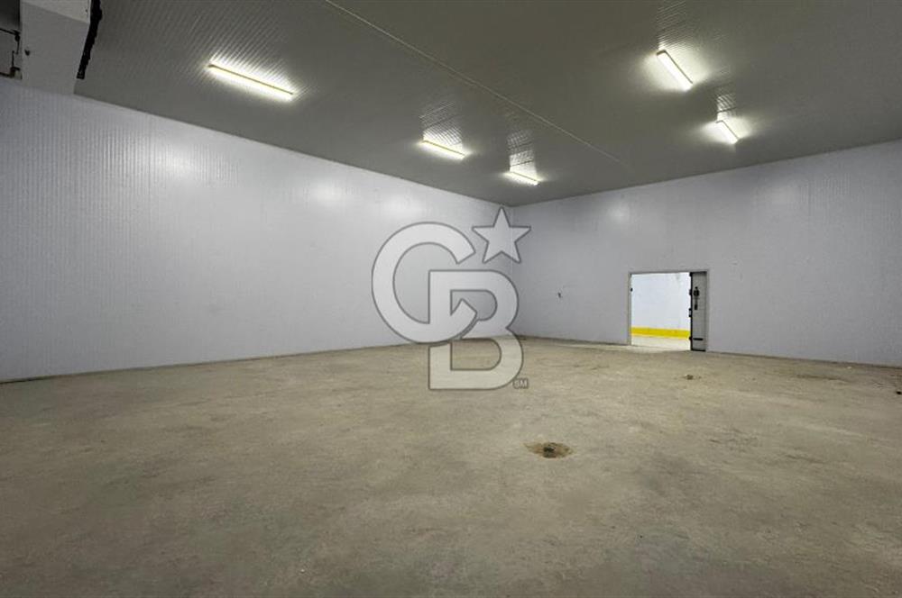 HAVZA OSB'DE SÜT VE GIDA SEKTÖRÜNE UYGUN 3300 M2 SATILIK FABRİKA