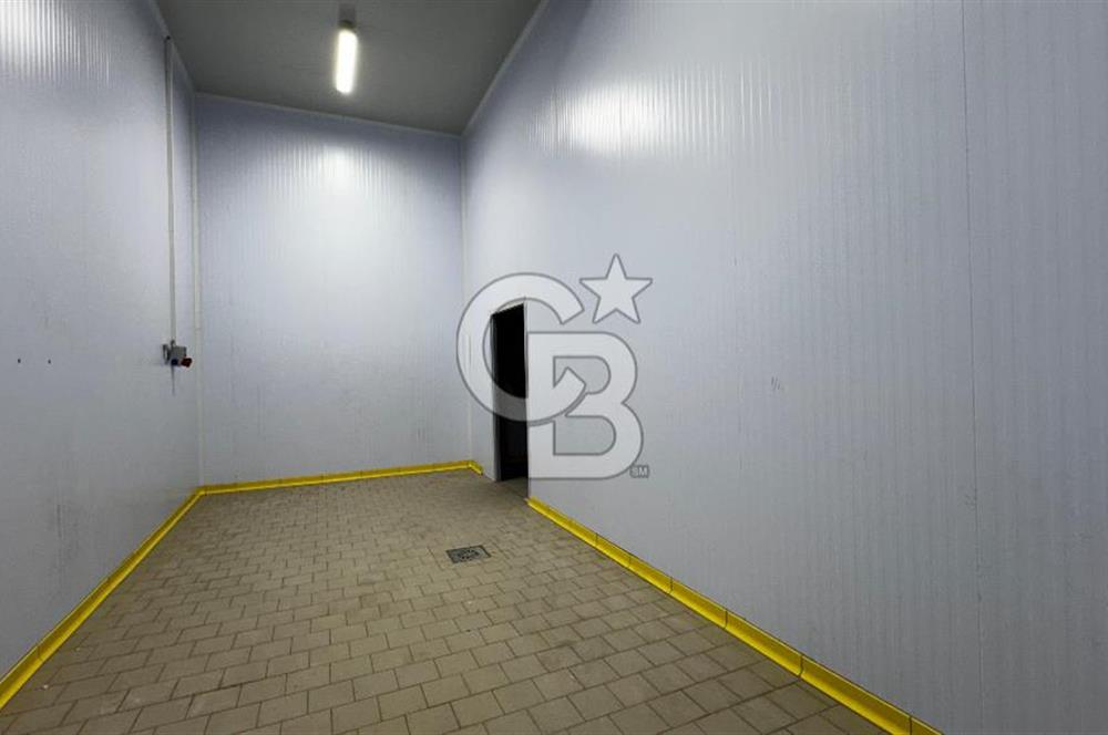 HAVZA OSB'DE SÜT VE GIDA SEKTÖRÜNE UYGUN 3300 M2 SATILIK FABRİKA