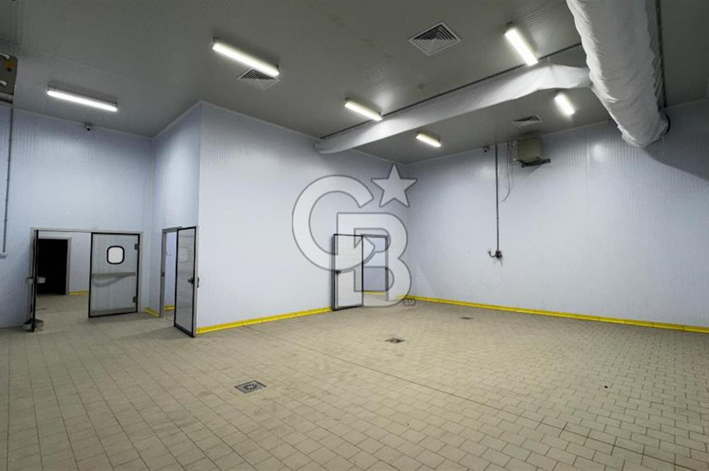 HAVZA OSB'DE SÜT VE GIDA SEKTÖRÜNE UYGUN 3300 M2 SATILIK FABRİKA