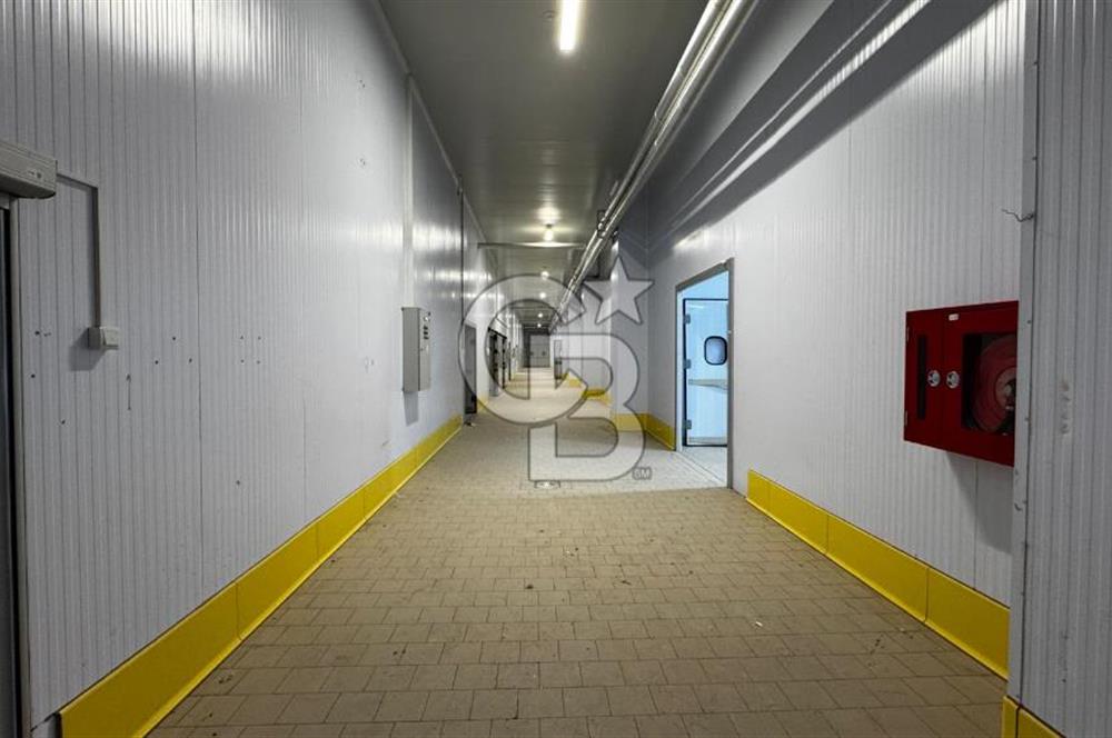 HAVZA OSB'DE SÜT VE GIDA SEKTÖRÜNE UYGUN 3300 M2 SATILIK FABRİKA