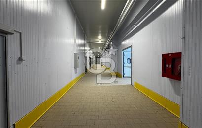 HAVZA OSB'DE SÜT VE GIDA SEKTÖRÜNE UYGUN 3300 M2 SATILIK FABRİKA