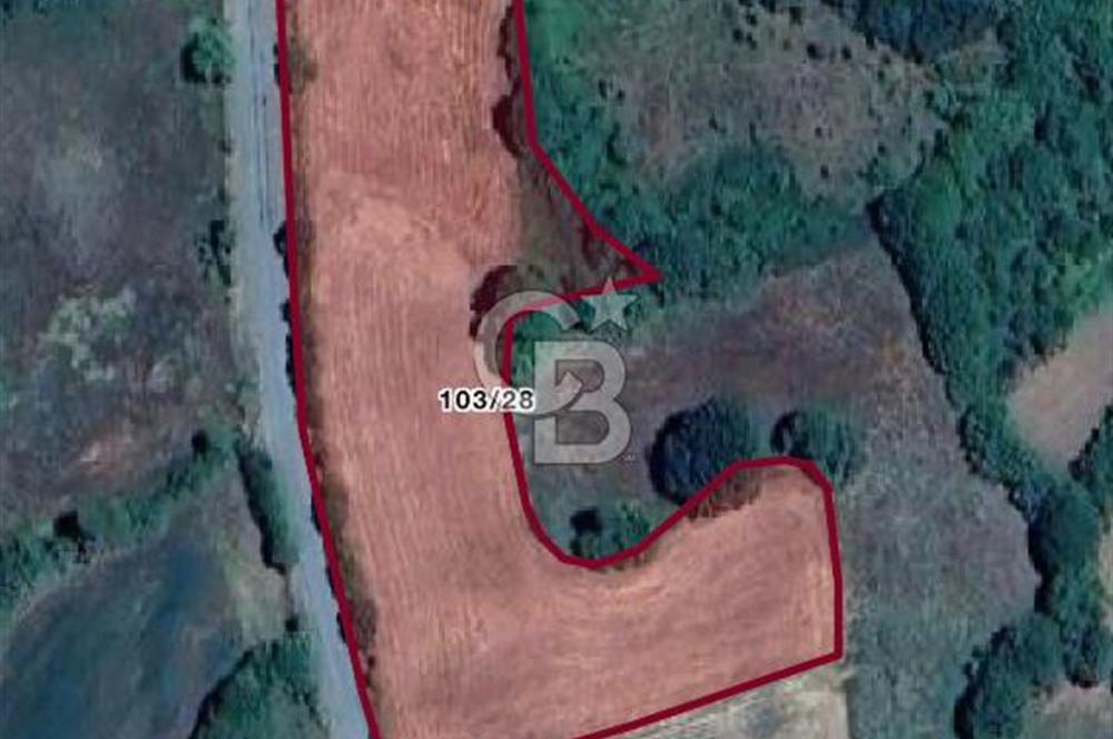 Kastamonu Merkez Karakuzu Köyünde 6.127 Dönüm Satılık Tarla