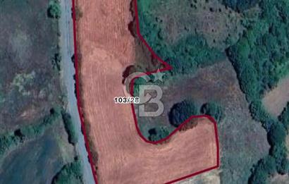 Kastamonu Merkez Karakuzu Köyünde 6.127 Dönüm Satılık Tarla