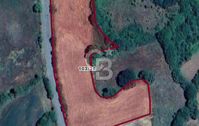 Kastamonu Merkez Karakuzu Köyünde 6.127 Dönüm Satılık Tarla