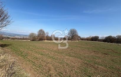 Kastamonu Merkez Karakuzu Köyünde 6.127 Dönüm Satılık Tarla