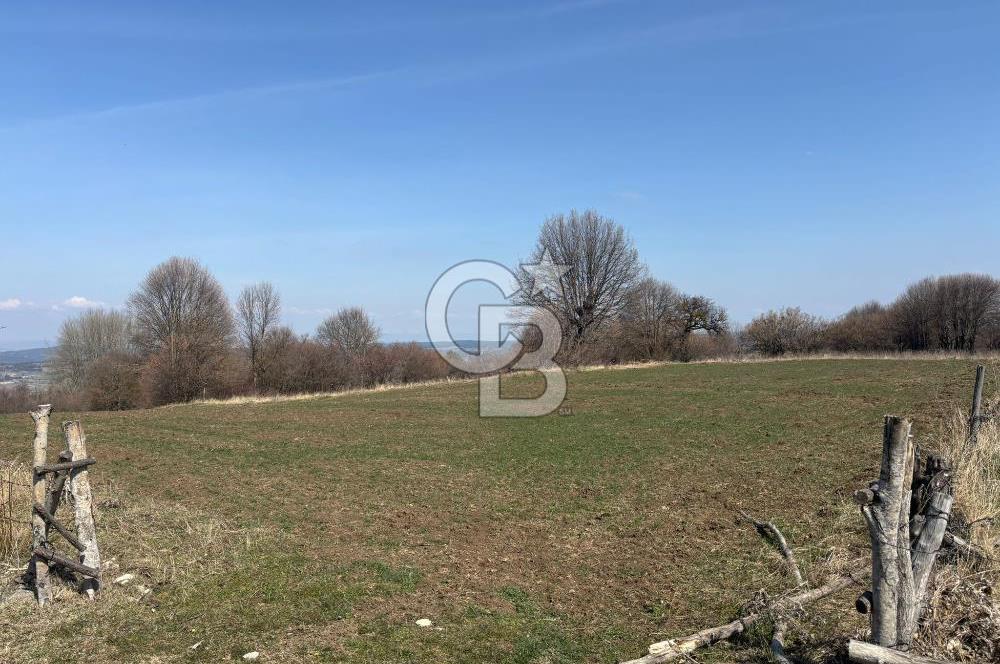 Kastamonu Merkez Karakuzu Köyünde 6.127 Dönüm Satılık Tarla