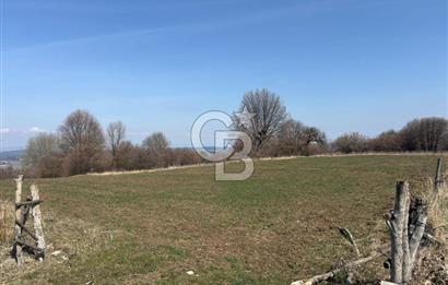 Kastamonu Merkez Karakuzu Köyünde 6.127 Dönüm Satılık Tarla