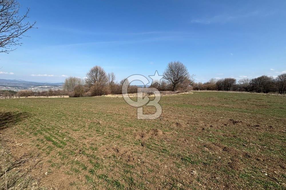 Kastamonu Merkez Karakuzu Köyünde 6.127 Dönüm Satılık Tarla