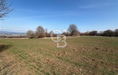 Kastamonu Merkez Karakuzu Köyünde 6.127 Dönüm Satılık Tarla