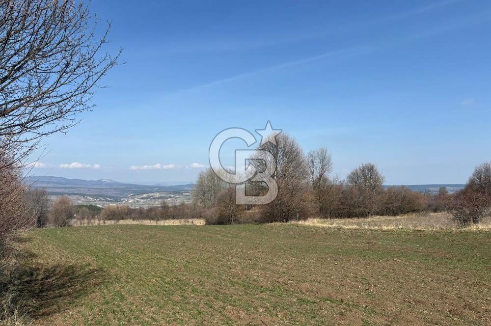 Kastamonu Merkez Karakuzu Köyünde 6.127 Dönüm Satılık Tarla