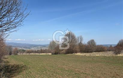 Kastamonu Merkez Karakuzu Köyünde 6.127 Dönüm Satılık Tarla