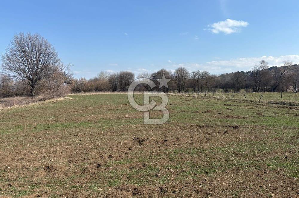 Kastamonu Merkez Karakuzu Köyünde 6.127 Dönüm Satılık Tarla