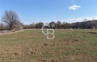 Kastamonu Merkez Karakuzu Köyünde 6.127 Dönüm Satılık Tarla