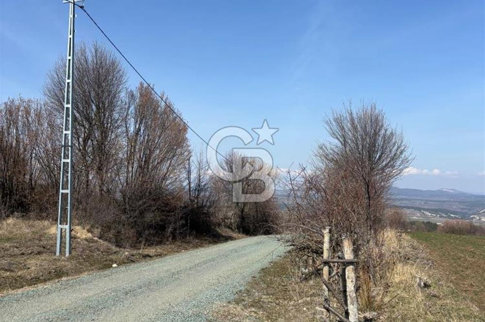 Kastamonu Merkez Karakuzu Köyünde 6.127 Dönüm Satılık Tarla