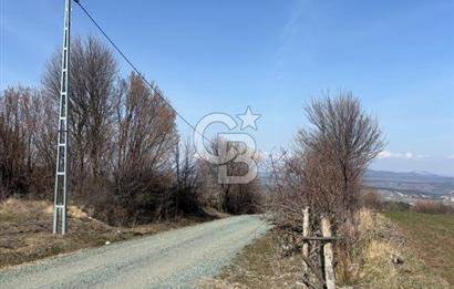 Kastamonu Merkez Karakuzu Köyünde 6.127 Dönüm Satılık Tarla